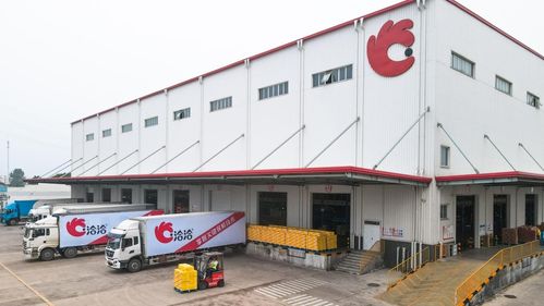 走進(jìn)洽洽透明工廠,探訪一顆堅(jiān)果蘊(yùn)藏的新質(zhì)生產(chǎn)力